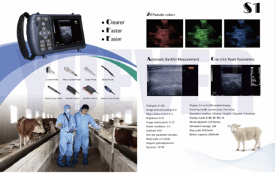 Animal Portable Full Digital Veterinary Diagnostic Equine Ultrasound Machine - Image 2